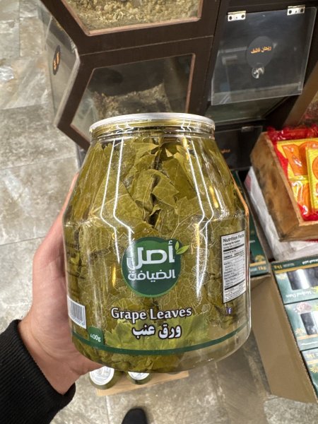 ورق عنب اصل الضيافة